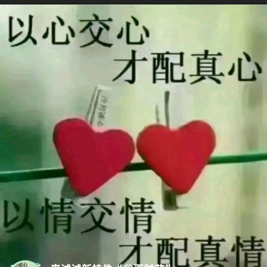谁懂我心