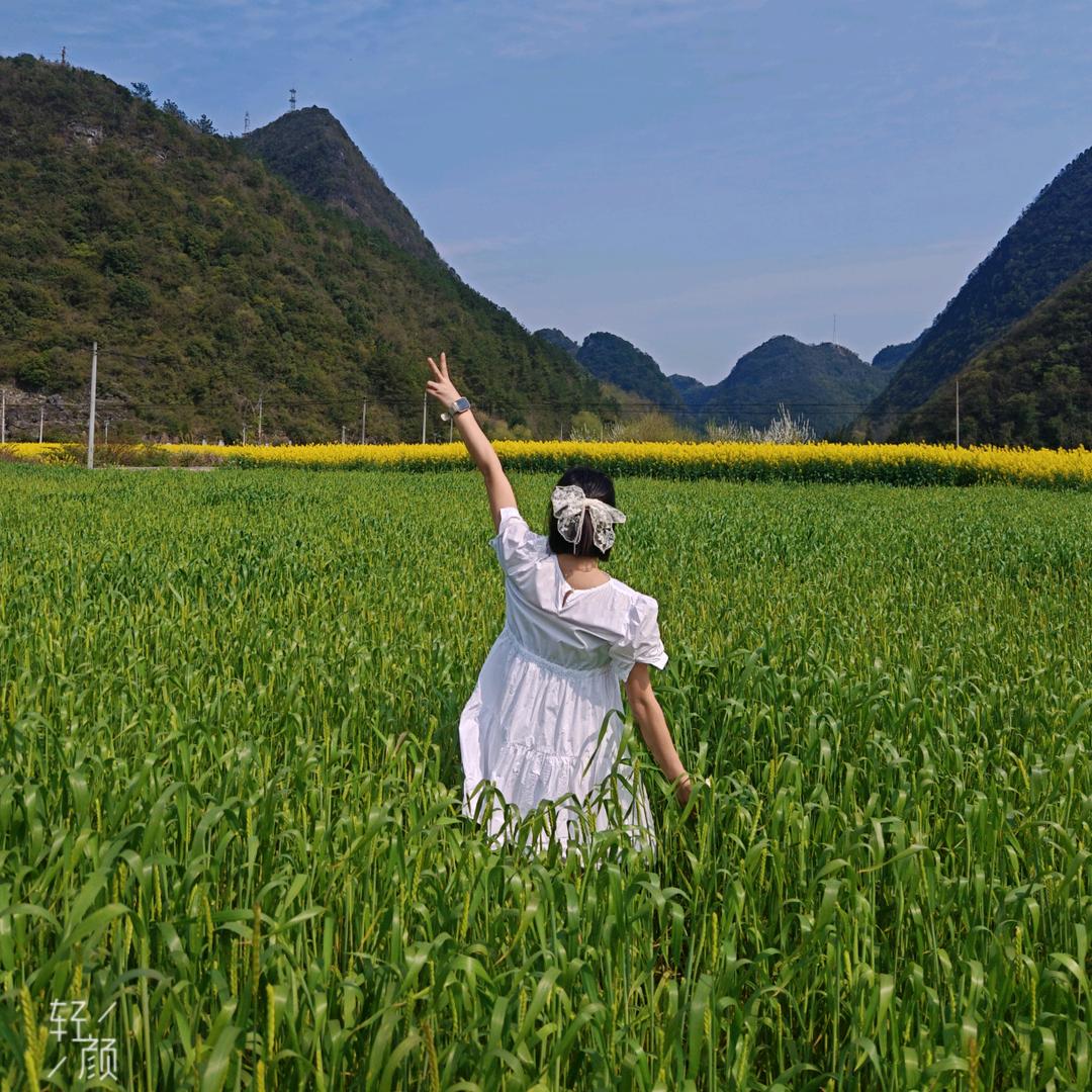 @陈-
