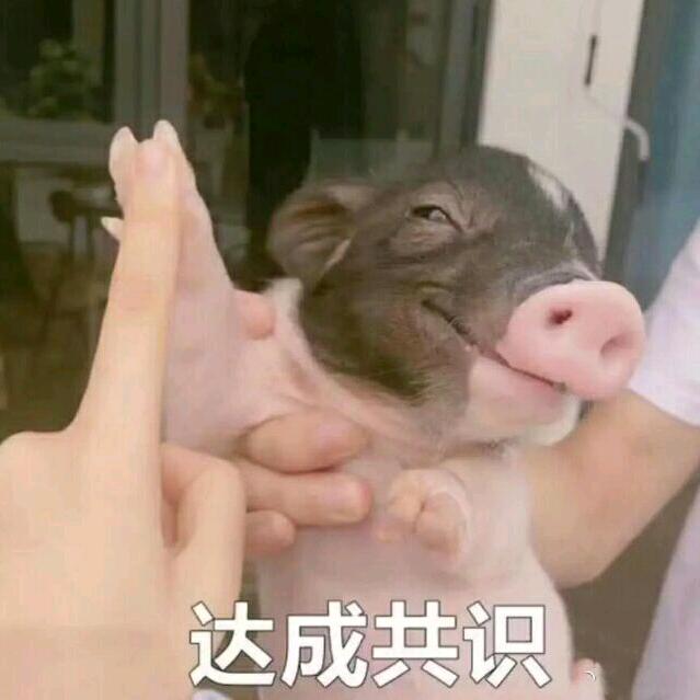 粪粪大学生