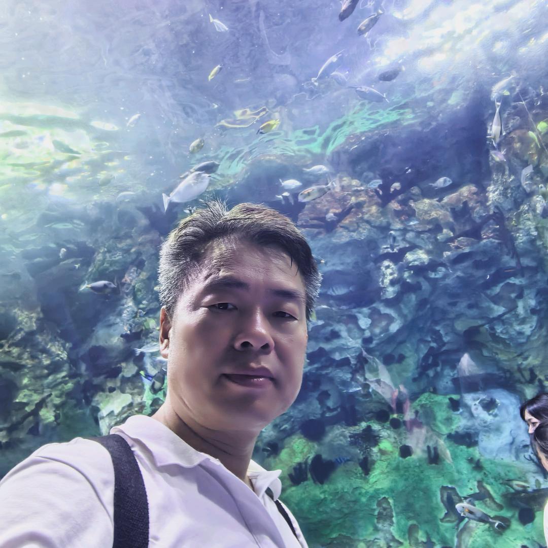 岁海涛