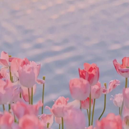 家族姐感恩观音财神