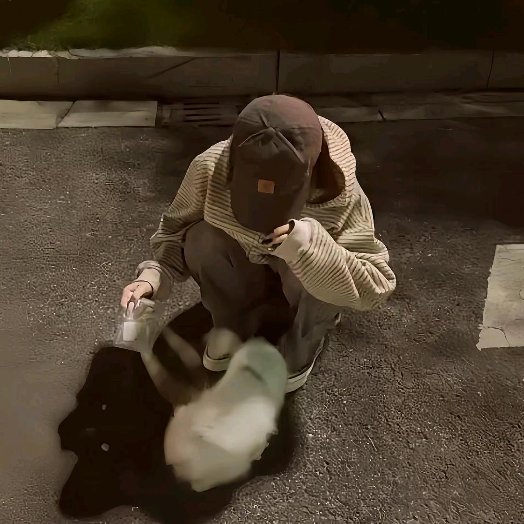 枯悸