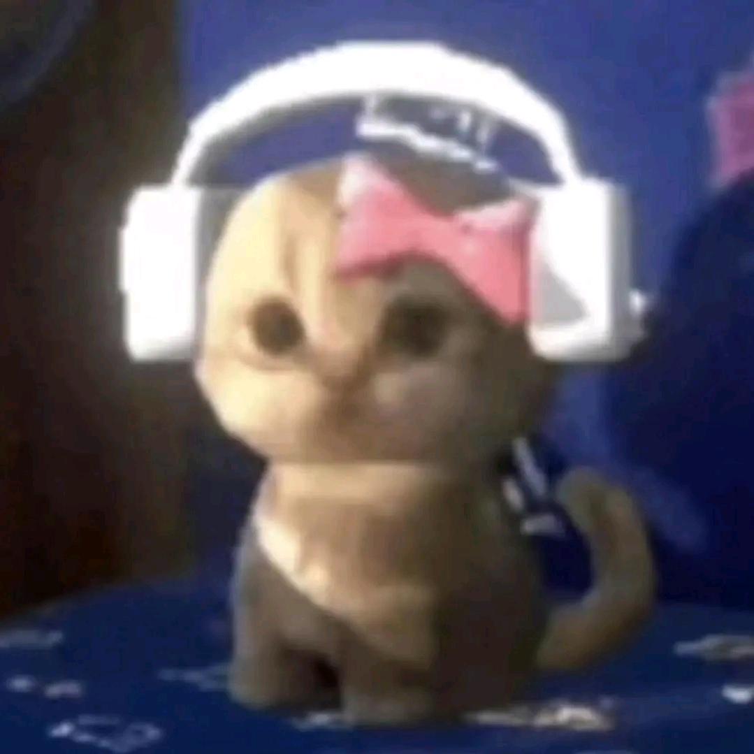 下次当只小猫.