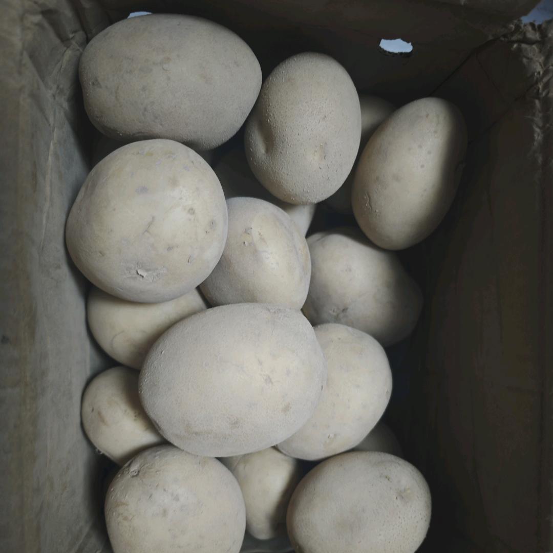 王者荣耀-东皇请战