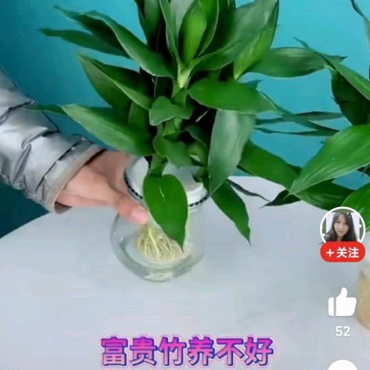 岁月静好88