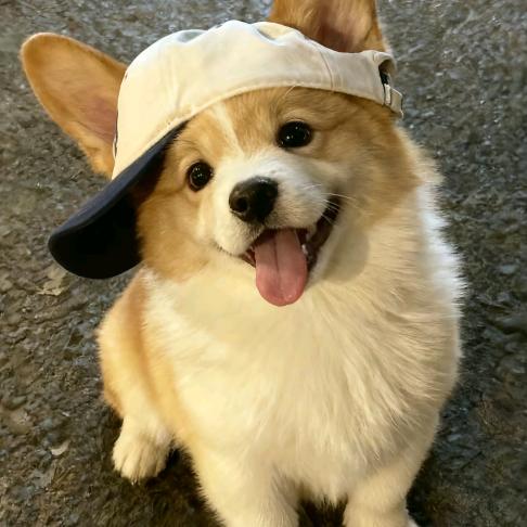 迩迩