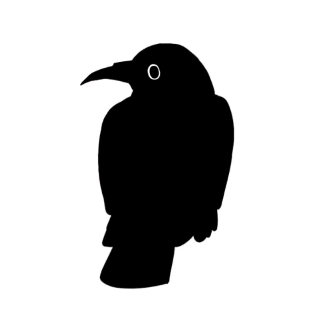 乌鸦仙人🐦‍⬛