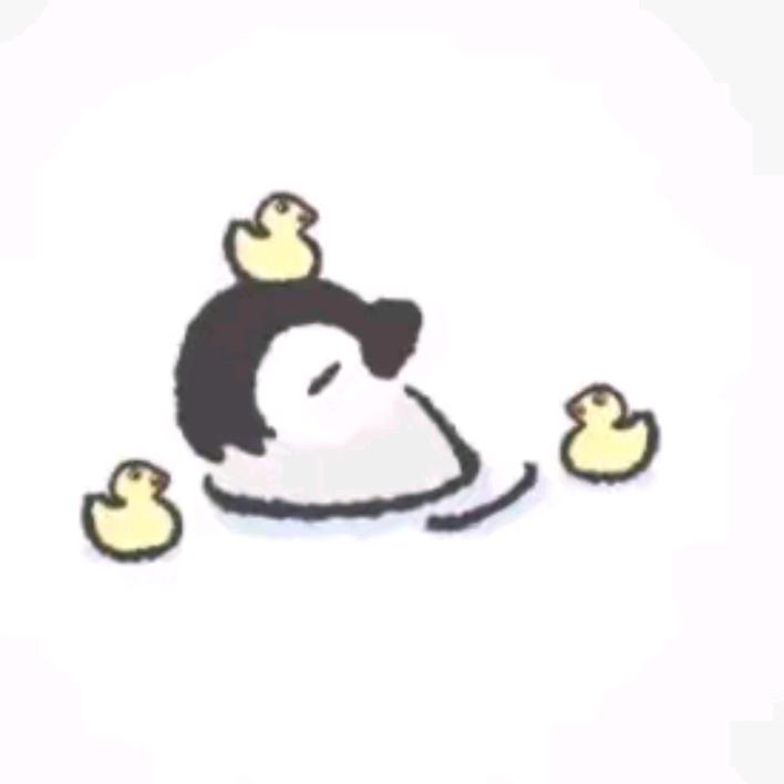 佳佳乐🦁