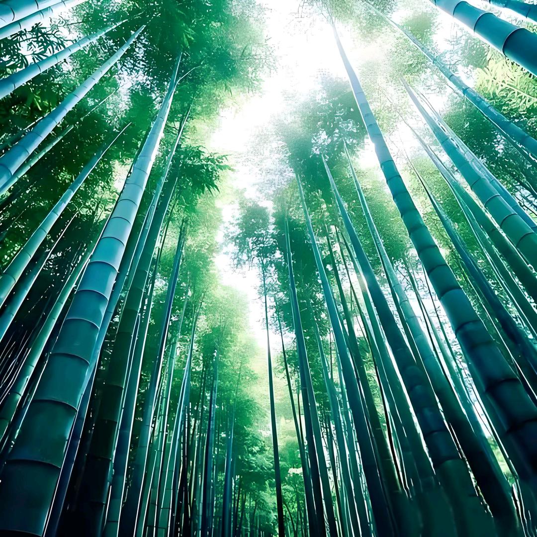 竹编技艺守护人