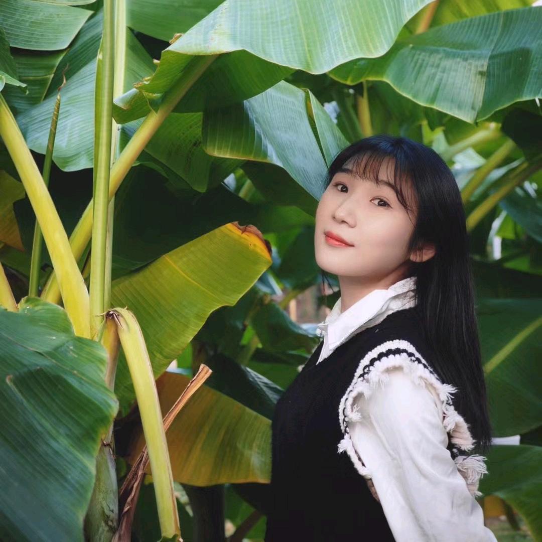 飞来飞去-简导的山城攻略局