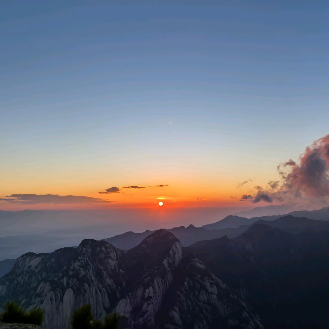 陆地小霸王💫