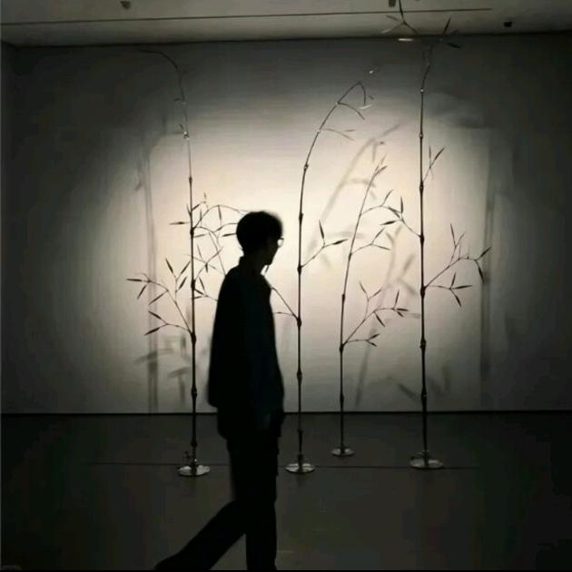 柯柯很柯