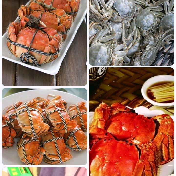 精品大闸蟹