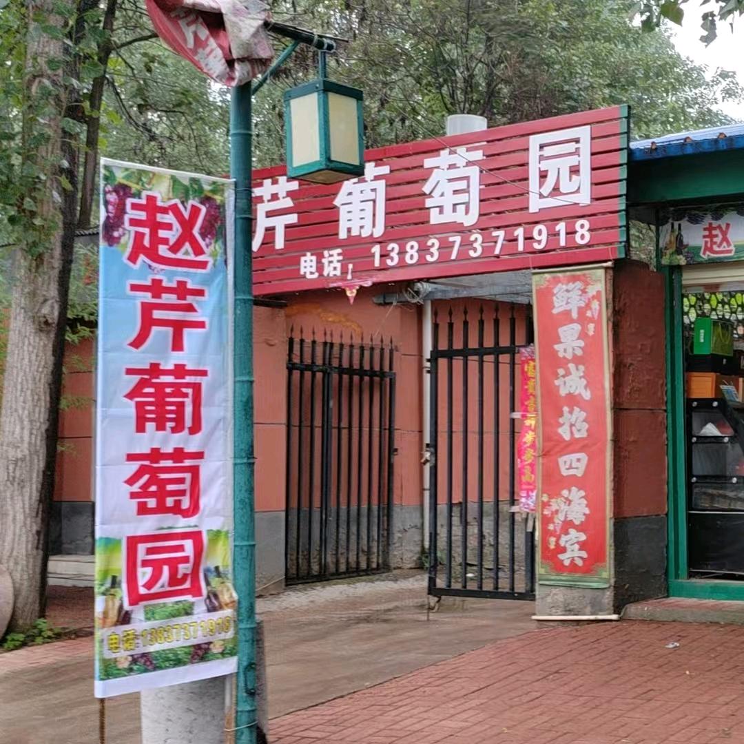 赵芹🍇葡萄采摘园