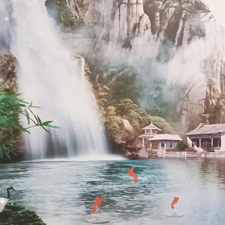 喻会（涨粉互动）
