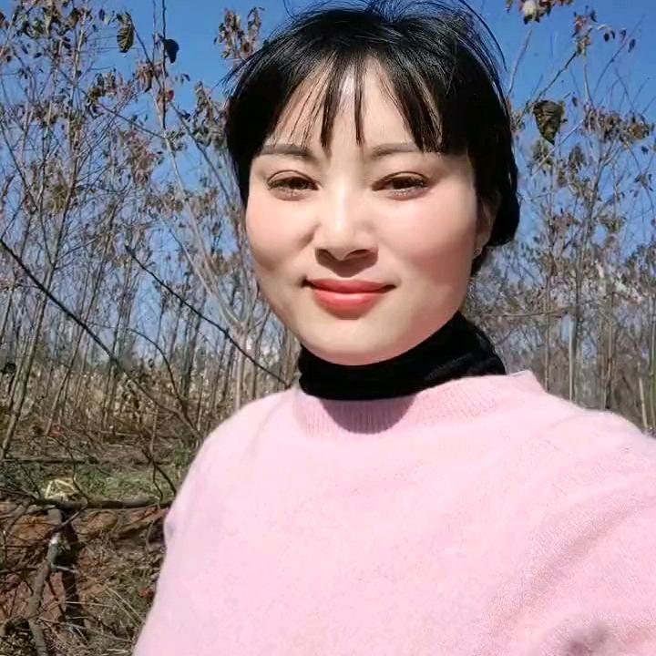 轻舞飞扬