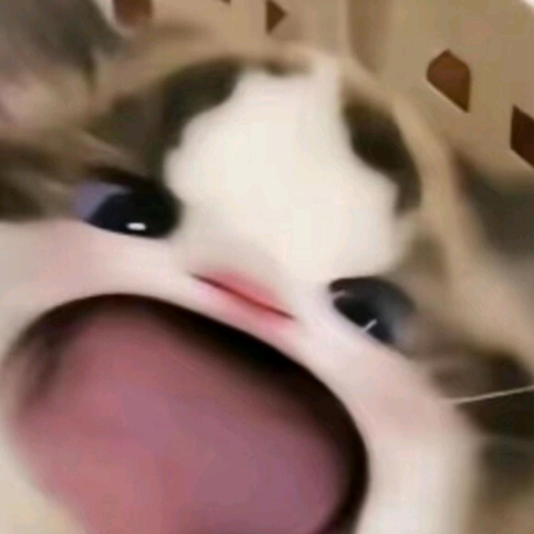 喵喵₍˄·͈༝·͈˄*₎◞ ̑̑