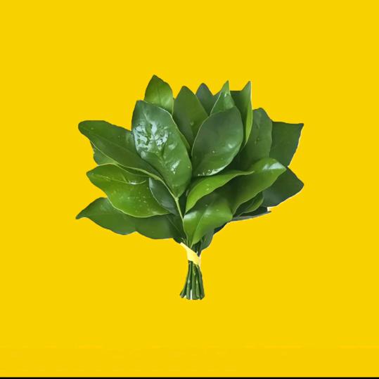 @҈҉҈҉҈҉҈҉҈҉ 𒐫    　༽