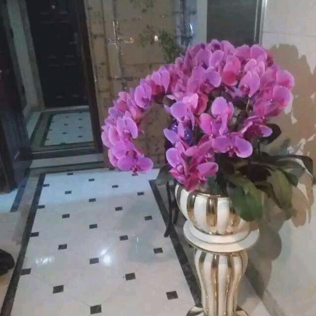 继续微笑