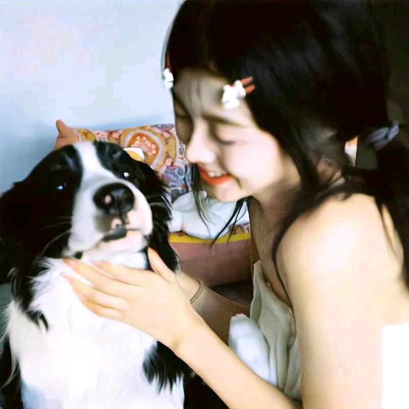 是吖吖鸭~
