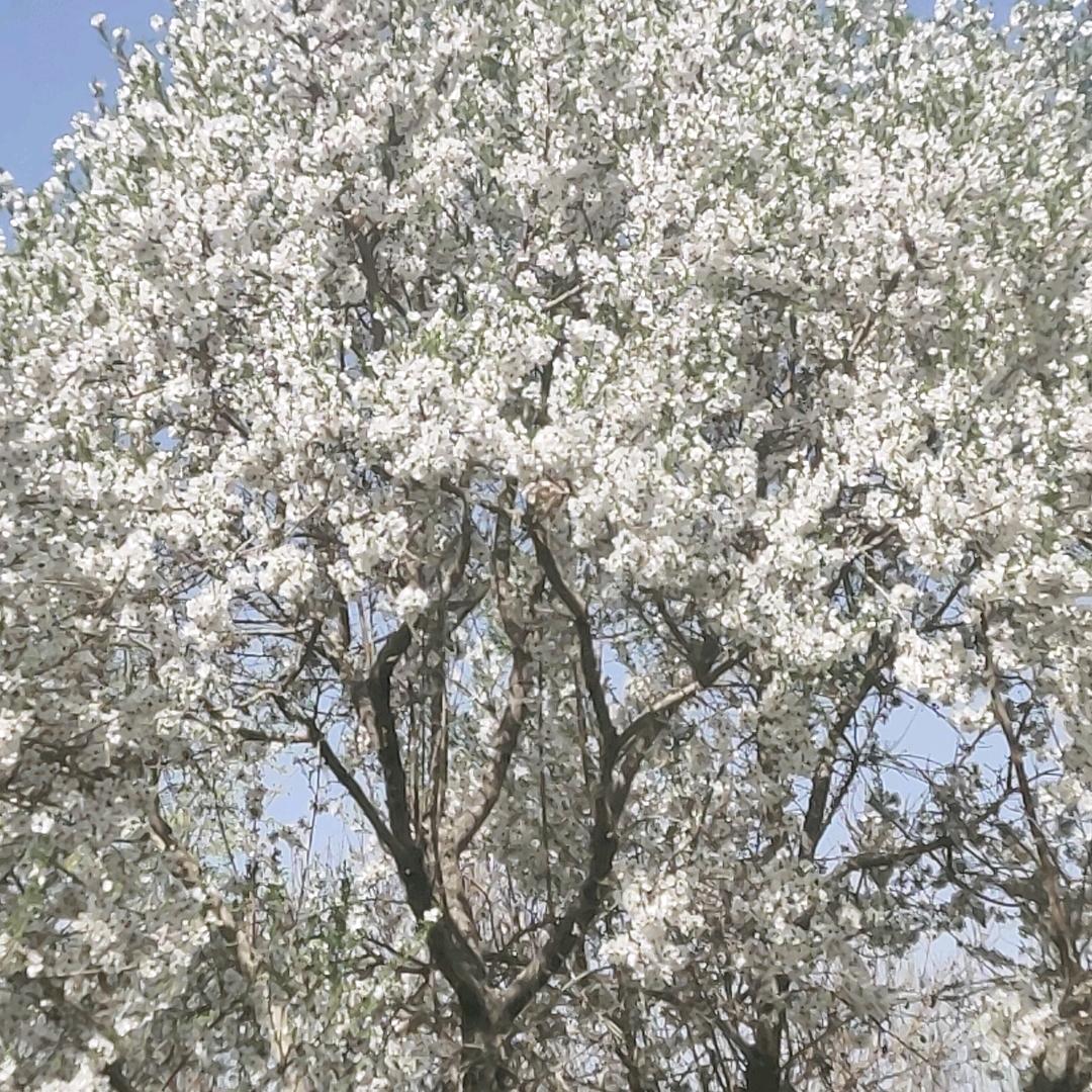 💞木塔力普江💕