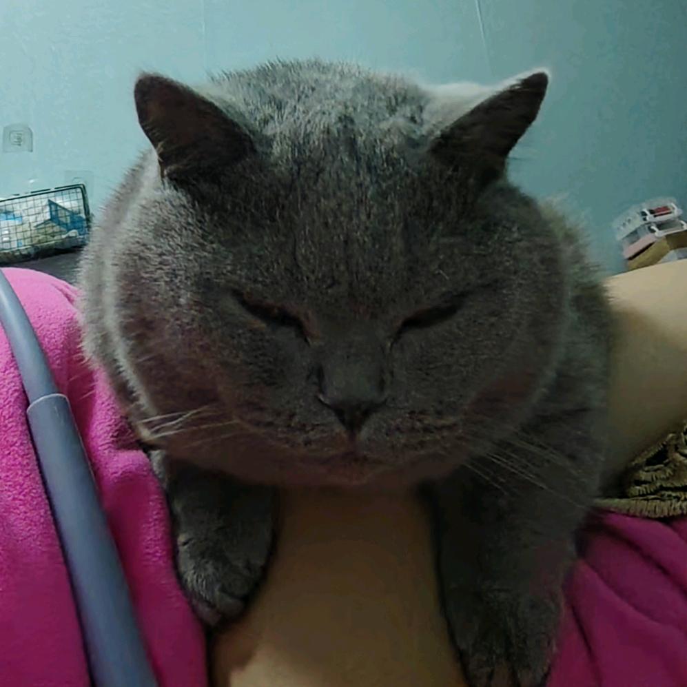 南陵萧昇