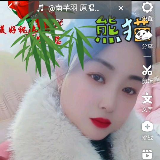 青春之梦。