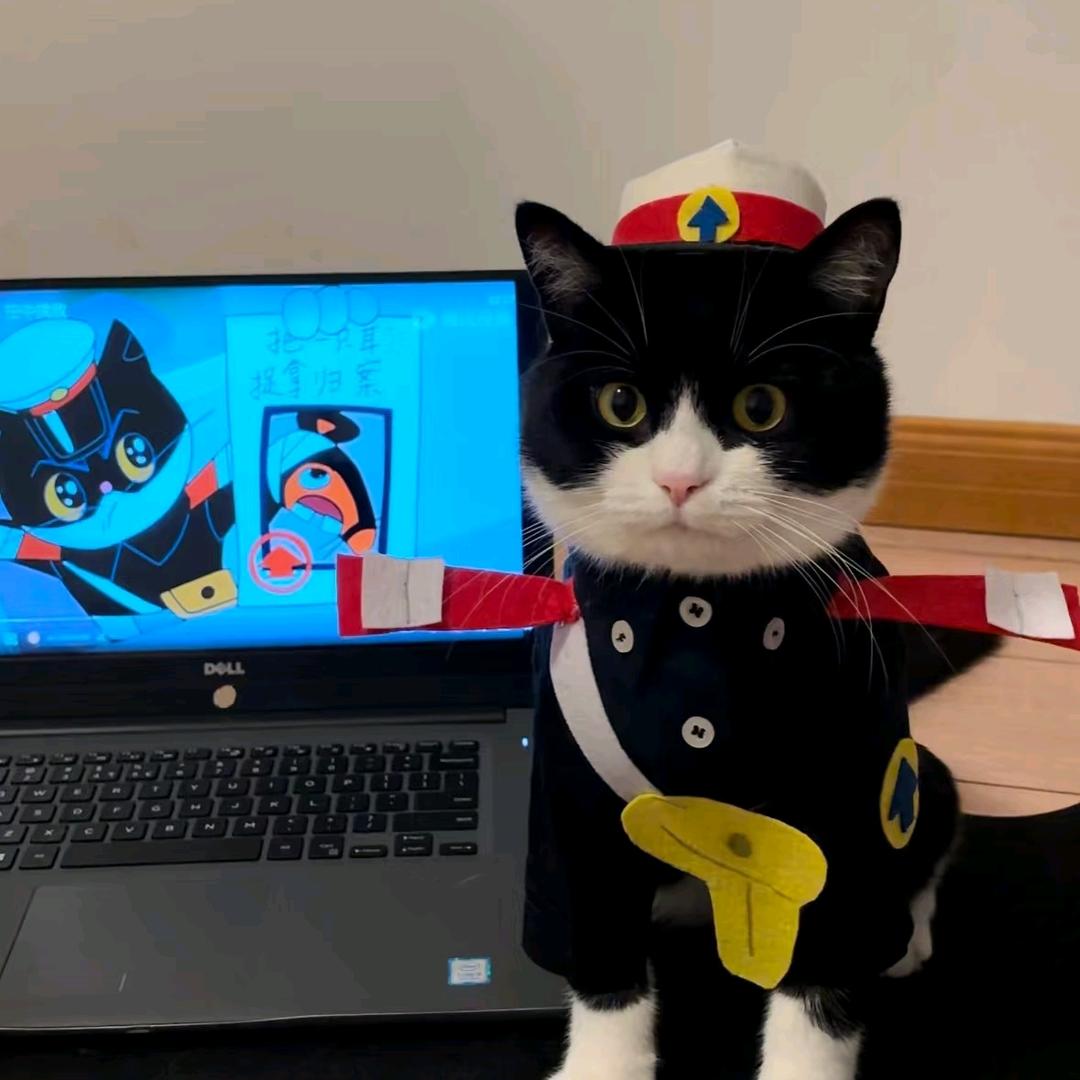 白白崽崽最可爱