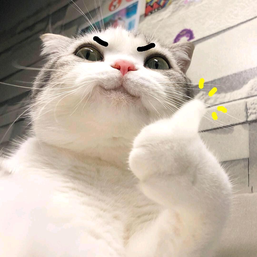 萧萧