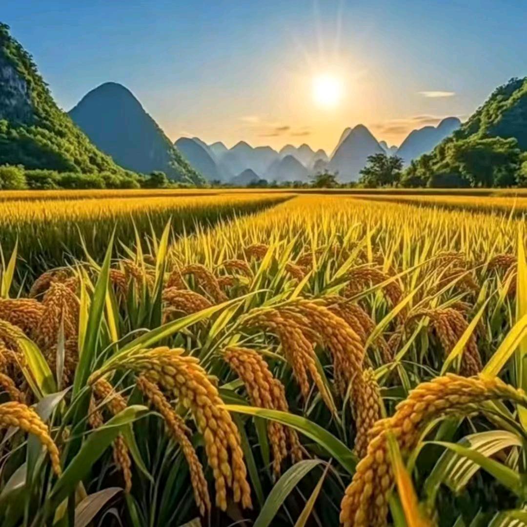 美丽遇见，未来可期。☕️☕️