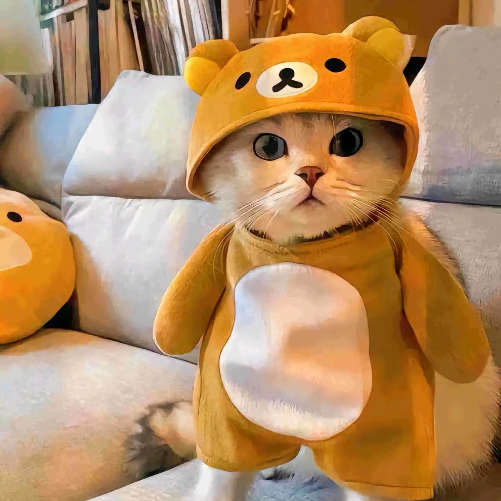 瓜西西