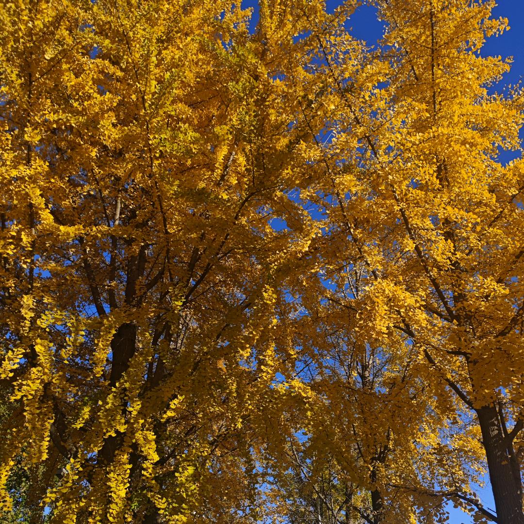 努力努力再努力