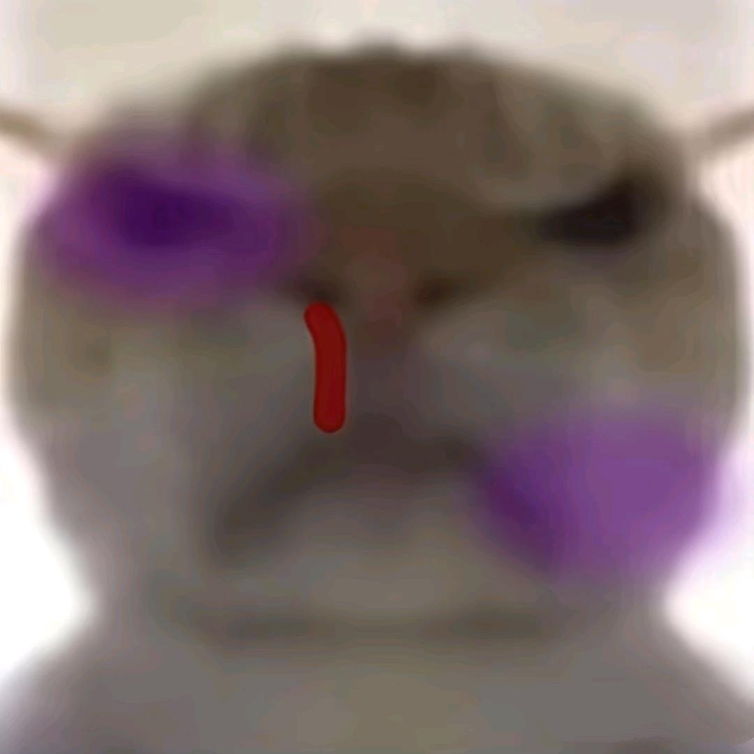 小鱼快快游（三角洲）