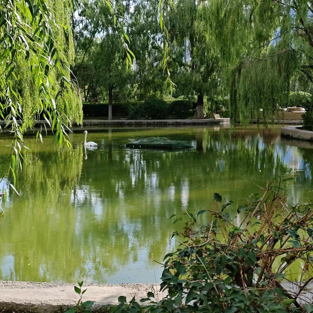 幸福满满