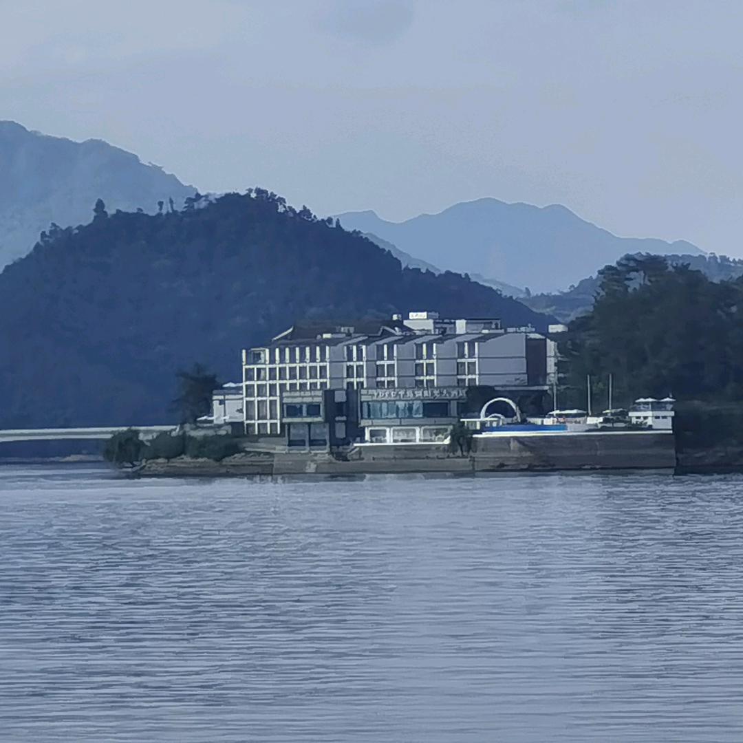 邹邹有喜