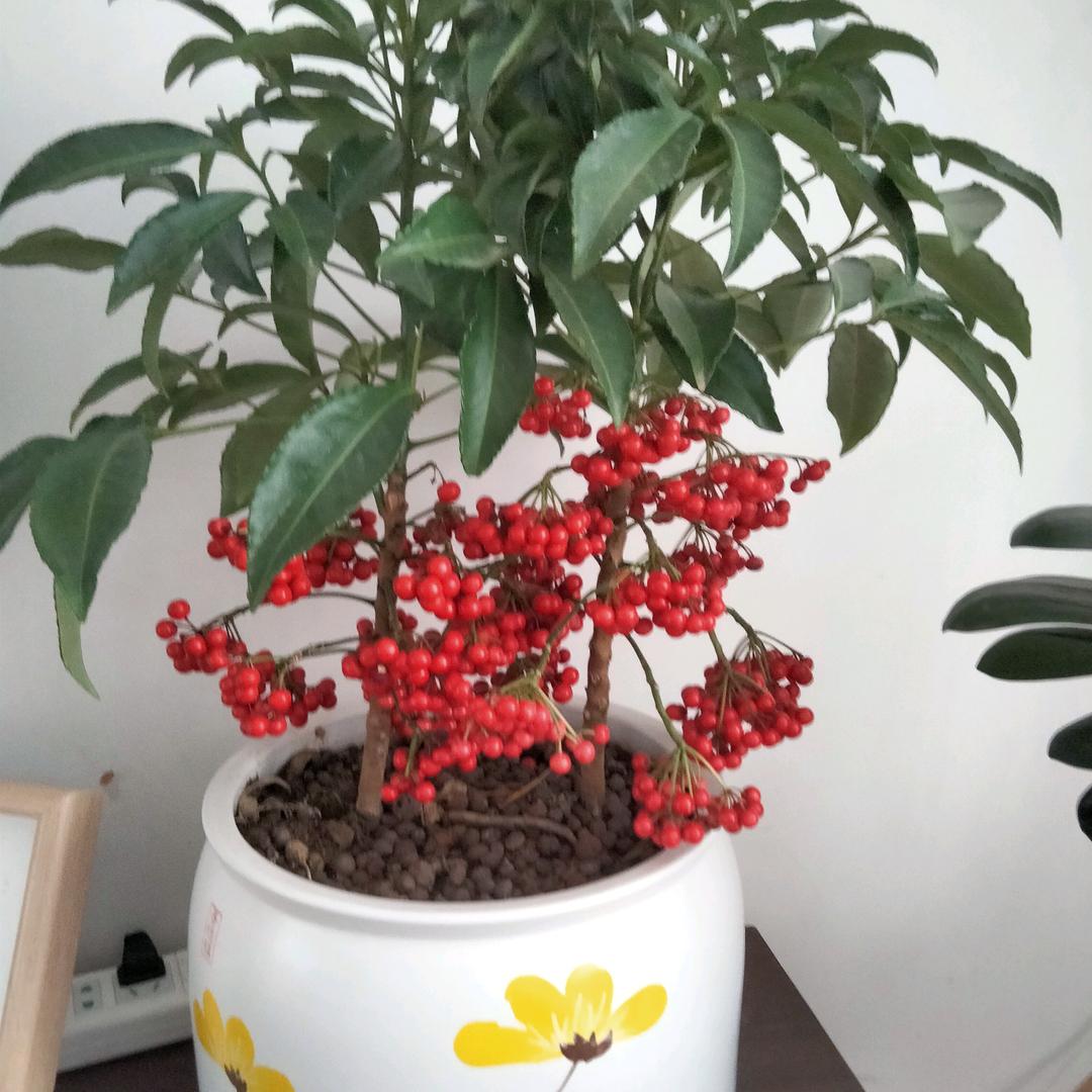 开开心心每一天