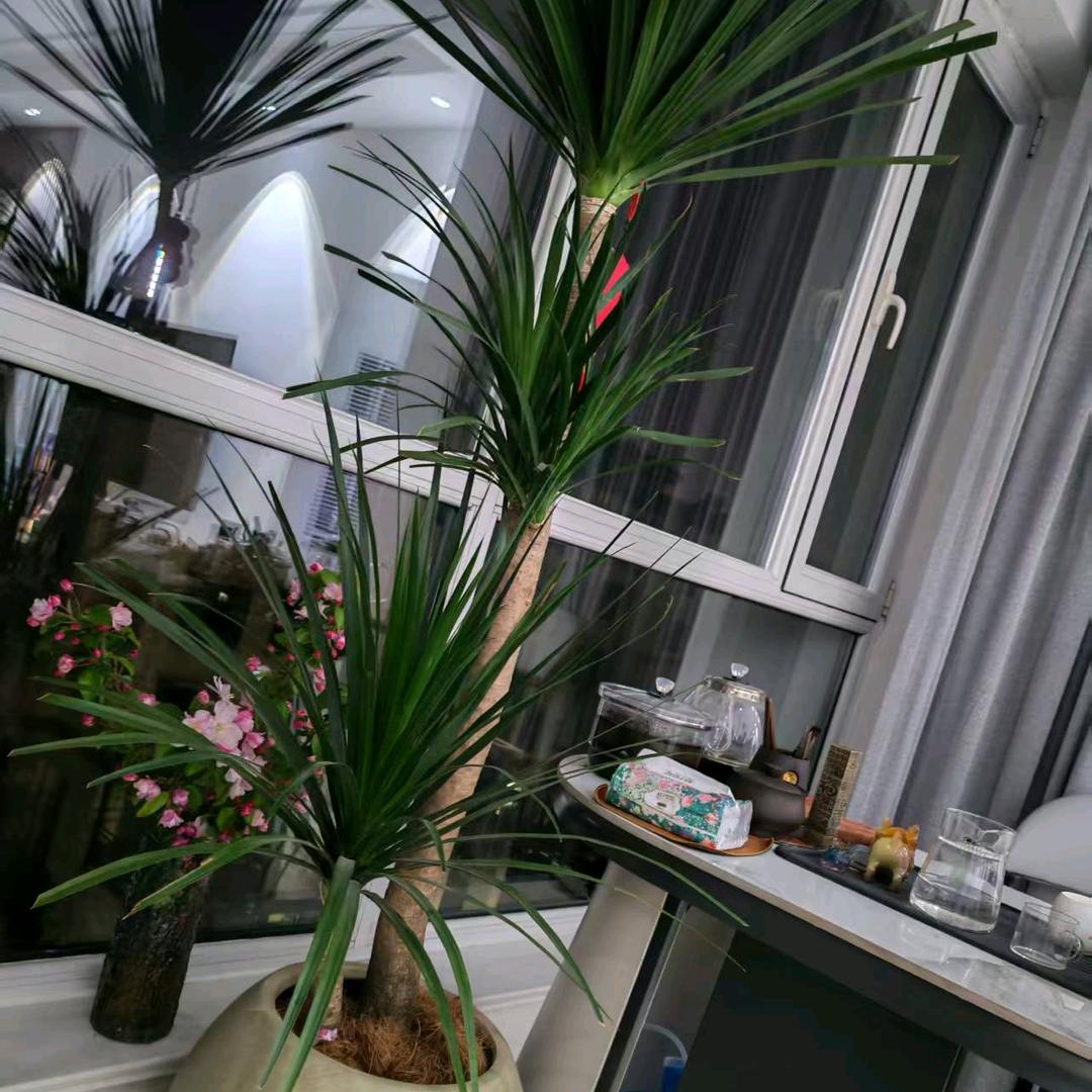 80后的弓长哥