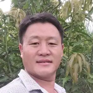 时光荏苒