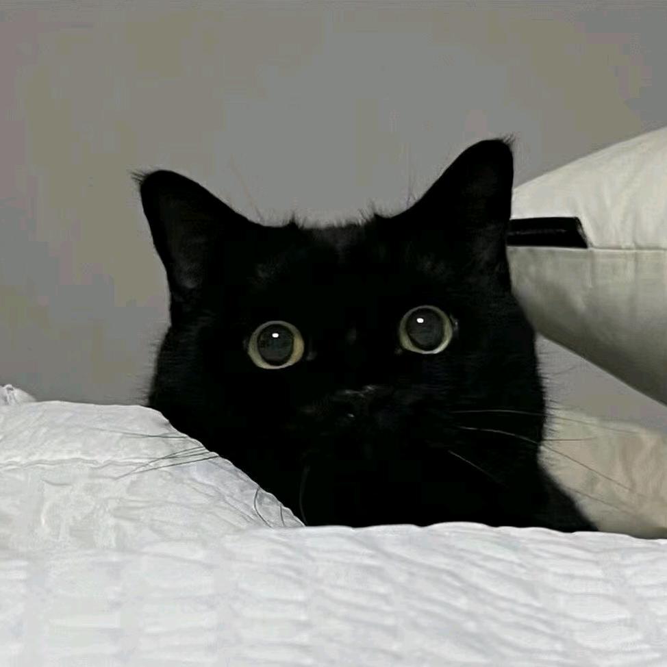 「ys边城浪子Lz」