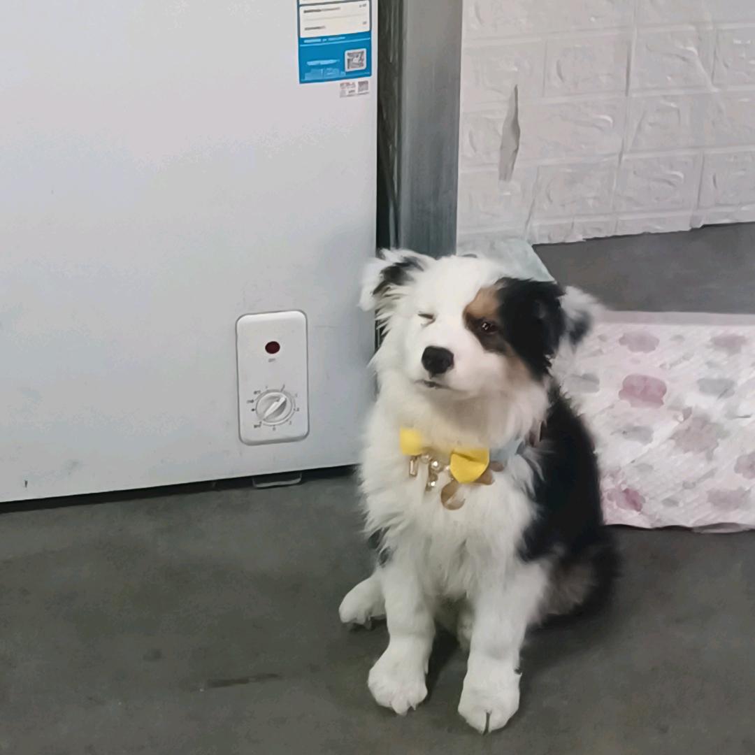 重生越来越好唯有经历才会看清