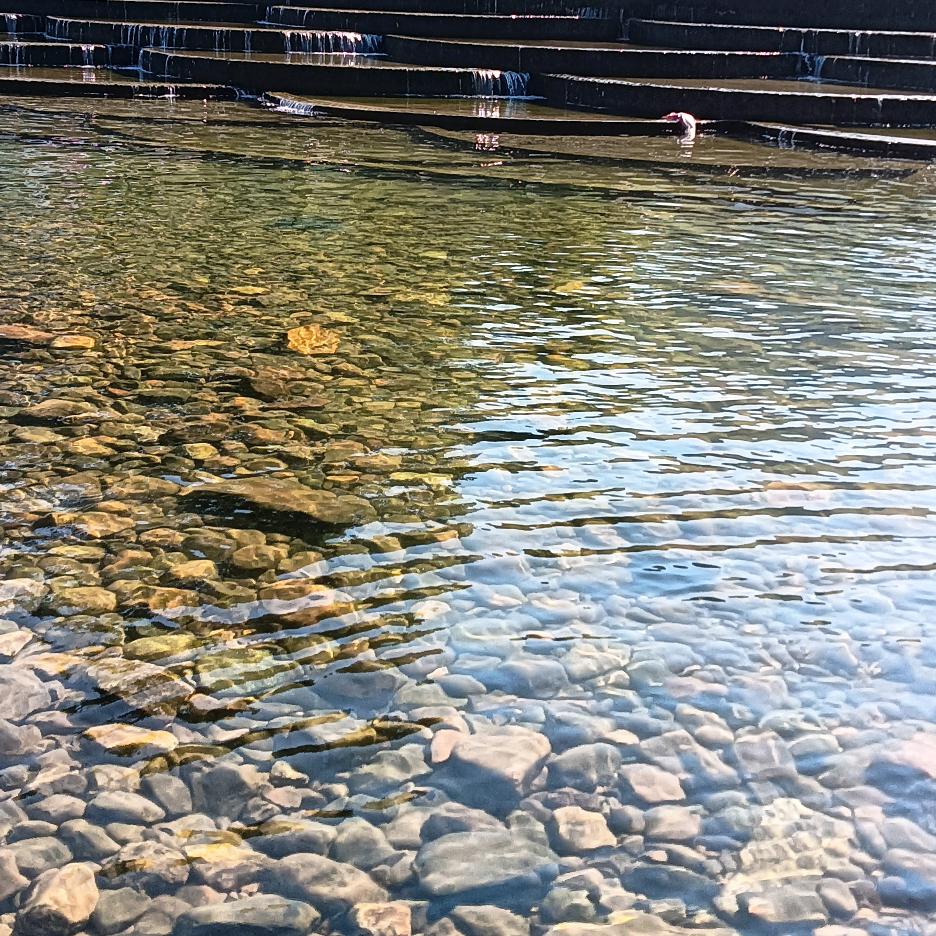 苍海