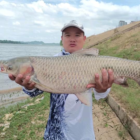胡大师(户外野钓)🎣