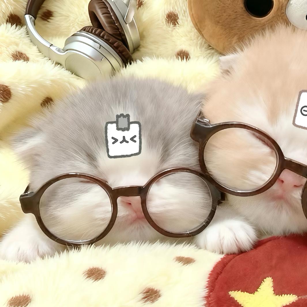 长毛的橙子