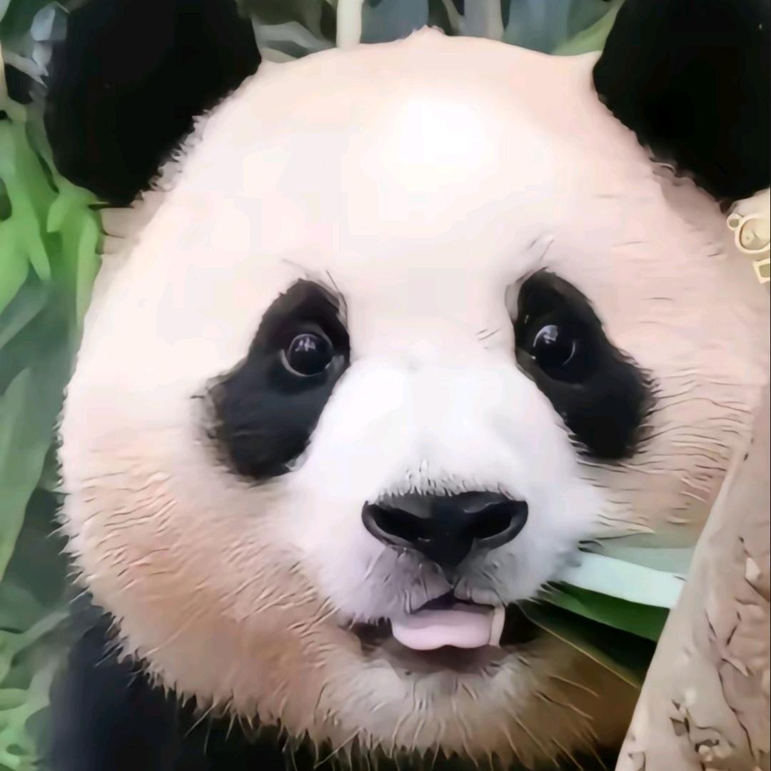 云都水汇8号