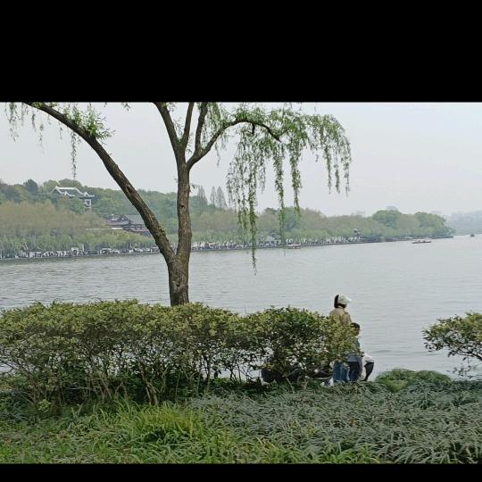 音乐友情
