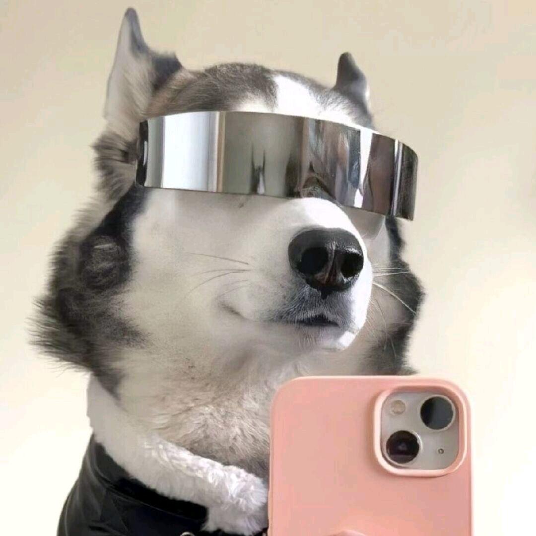 讨口子