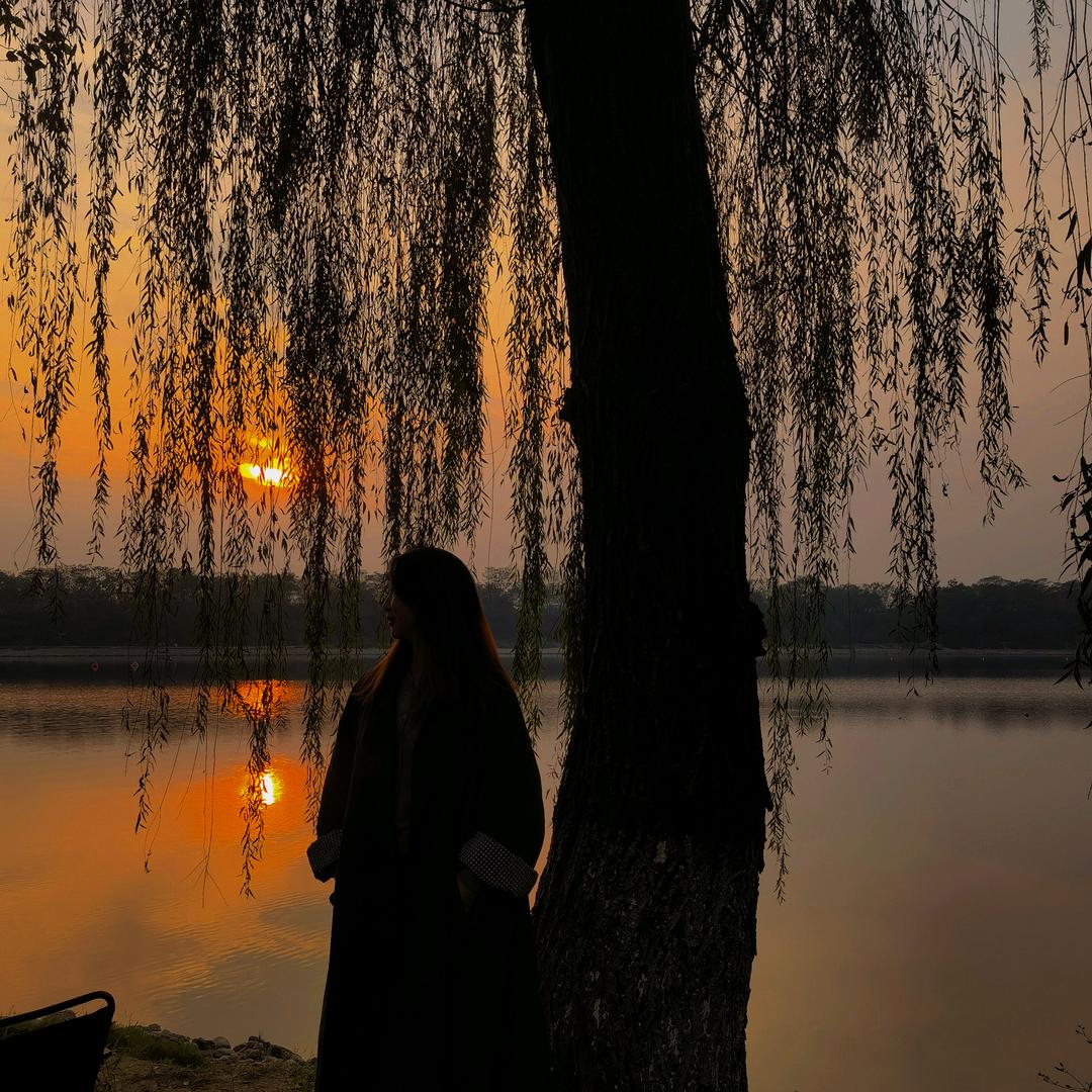 小乐乐