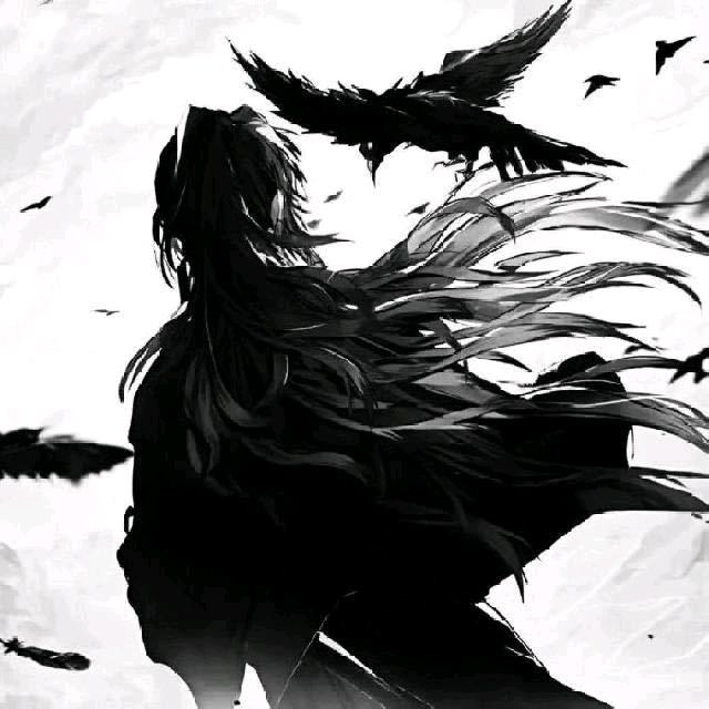 @追风少年