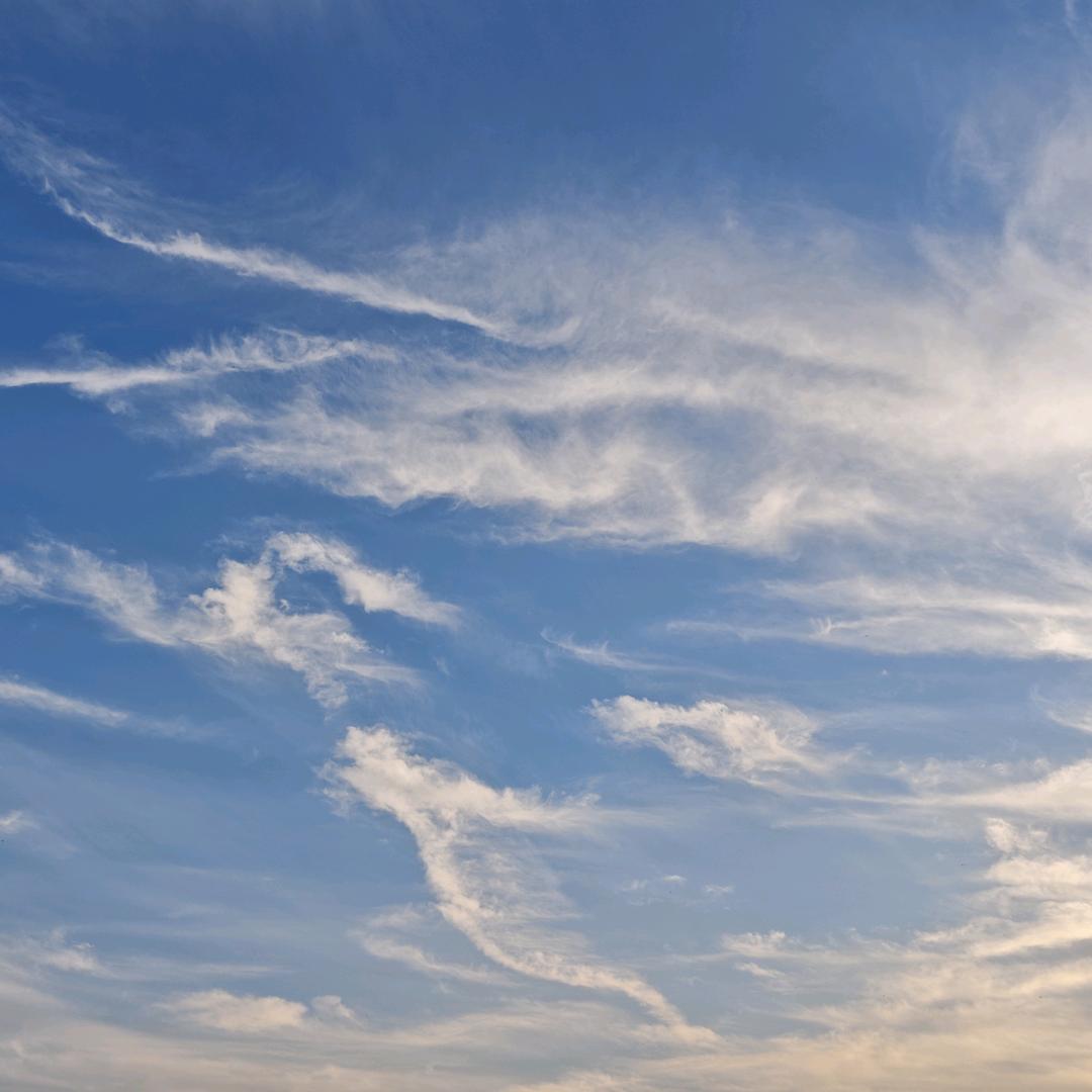 扶摇直上，龙翔九天