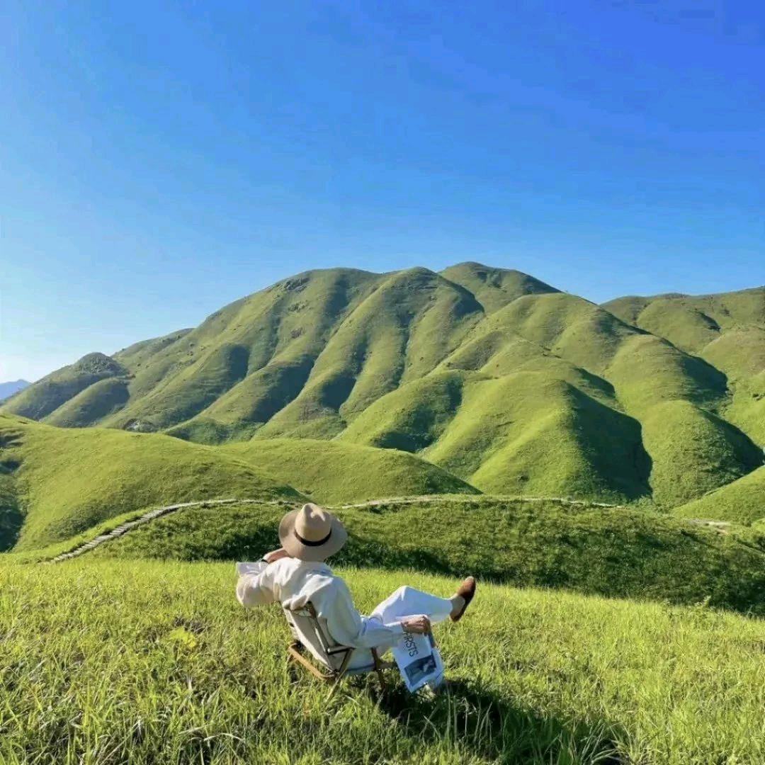 桃灼